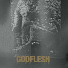 Download track Spite Godflesh