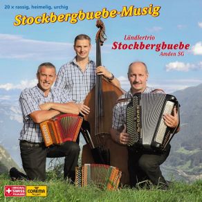 Download track Rehbraune Augen (Hat Mein Schatz) Ländlertrio Stockbergbuebe