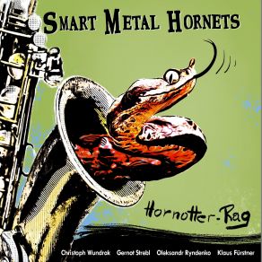 Download track Styrian Balkan-Waltz Smart Metal Hornets