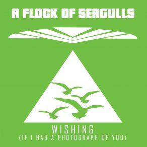 Download track Wishing (If I Had A Photograph Of You) (Ilya Santana Remix) A Flock Of Seagulls