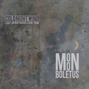 Download track Cold Night Wind Moon BoletusYK, Spartacus Livil'yen