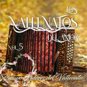 Download track La Maye Grupo Lideres Del Vallenato