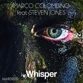 Download track Paranoia (Original Mix) Marco Colombino