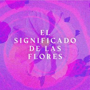 Download track El Significado De Las Flores (Sesión Semilla) El Significado De Las Flores