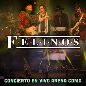 Download track De Todo Michoacán (En Vivo) Los Felinos