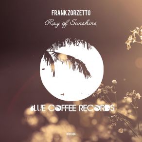 Download track Ray Of Sunshine (Okandu Remix) Frank Zorzetto