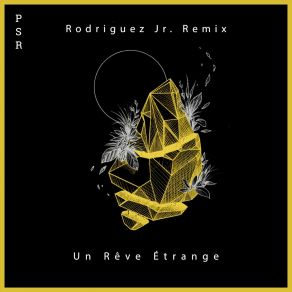 Download track Un Rêve Étrange Seth Schwarz