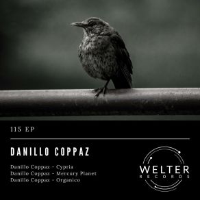 Download track Mercury Planet Danillo Coppaz