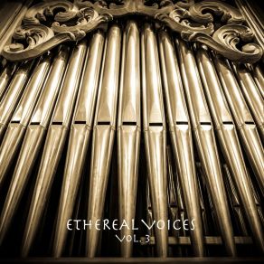 Download track Celestial Serenade (Church Organ Rework) Sound Traveller