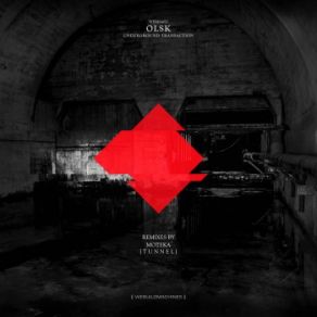 Download track RW05 (Moteka Remix) OLSK