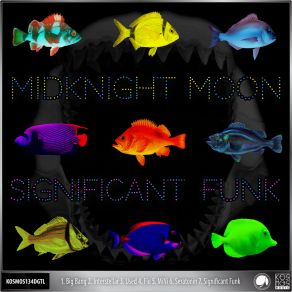 Download track MiNi Midknight Moon