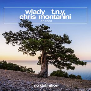 Download track Andrea (Dub) T & N, Chris Montanini, Wlady, T. N. Y.