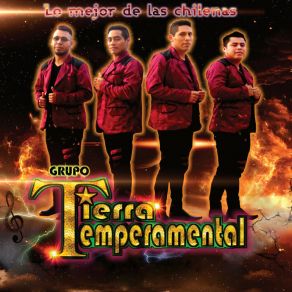 Download track Espina Del Maguey Grupo Tierra Temperamental