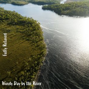 Download track Windy Day By The River, Pt. 12 Steve Brassel