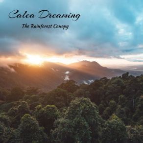 Download track The Ravine Calea Dreaming