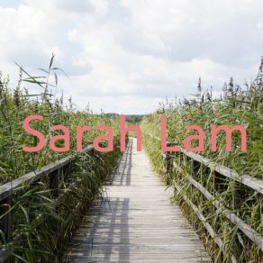 Download track Paper Sarah Lam