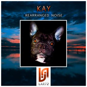 Download track Rearranged Noise (Dub Mix) Es Kay