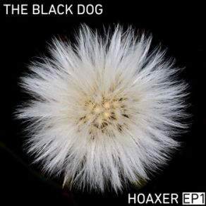 Download track Who He Was (FE RMX) The Black Dog