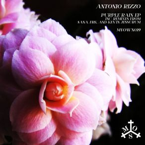 Download track Afternoon Sadness ($ Ana Remix) Antonio RizzoAna