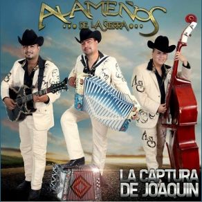 Download track La Cumbia Del Burro Los Alameños De La Sierra