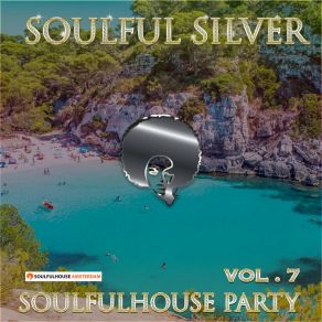 Download track Come Over And Say Hi To Me Soulful Silver