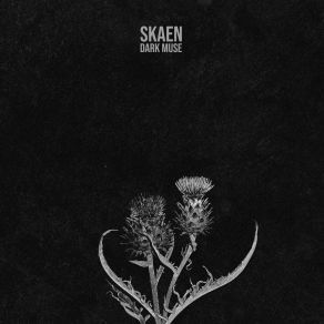 Download track Crawling Chaos Skaen