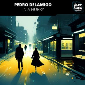 Download track In A Hurry (Extended Mix) Pedro Delamigo