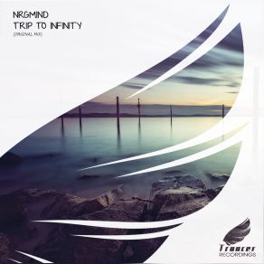 Download track Trip To Infinity (Original Mix) Nrgmind