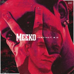 Download track Visionnaire Meeko