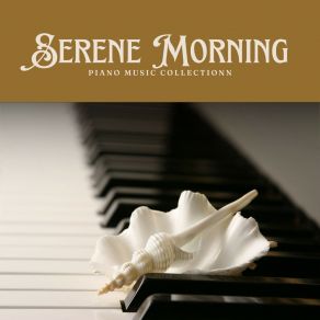 Download track Serene Rhythms The Music Collection