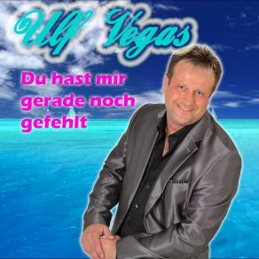 Download track Du Hast Mir Gerade Noch Gefehlt Bob Wundermann