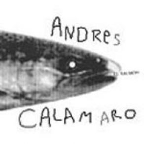 Download track Gaviotas Andrés Calamaro