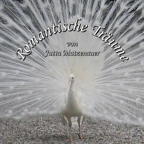 Download track Denn Jeder Seemann Jutta MatzenauerBernd Oettinger