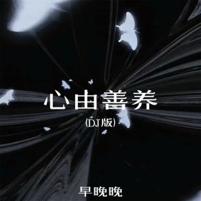 Download track 心由善养 (DJ版伴奏) 廖光明