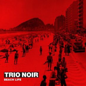 Download track My Little Sued Shoes Trio Noir