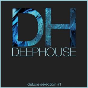 Download track Deep Here Elektrolachs