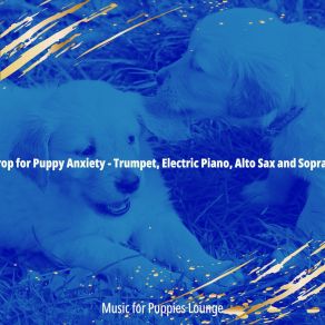 Download track Sumptuous Music For Calming Your Puppy Music For Puppies Lounge