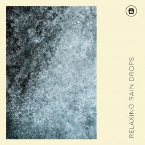 Download track Rainstorm Ocean Sounds