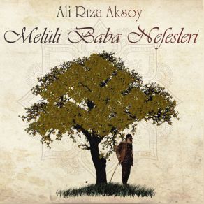 Download track Adil ahm Sen Davam Grmezsen Ali Riza Aksoy