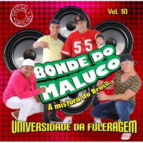 Download track FFaixa 13 Bonde Do Maluco