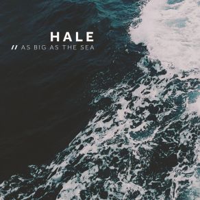 Download track In Search Of Something Else Hale