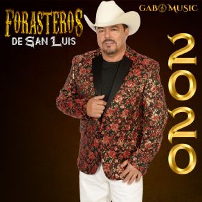 Download track Somos Dos Tontos Forasteros De San Luis