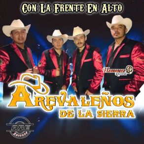 Download track Con Piñas En Mano Arevaleños De La Sierra De (Tony Arevalo)