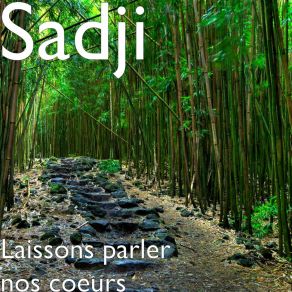 Download track Laissons Parler Nos Coeurs Sadji