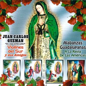 Download track Virgen Del Rosario Violines Del Sur
