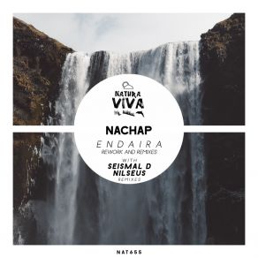 Download track Endaira (Seismal D Remix) NachapSeismal D