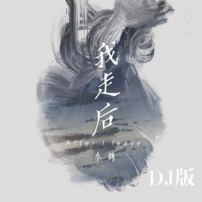 Download track 我走后 (Dj版) 小咪