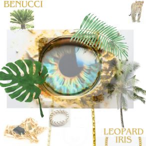 Download track Level Up Benucci