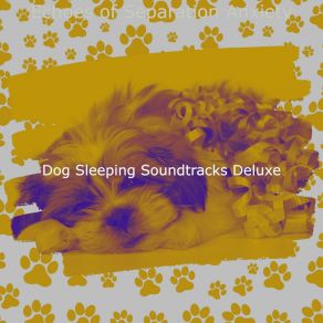 Download track Dashing Mans Best Friend Dog Sleeping Soundtracks Deluxe