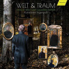 Download track 3 Harfenspieler (Arr. C. T. Druml For Voice & Orchestra): No. 1, Wer Sich Der Einsamkeit Ergibt Liszt, Mahler, Wolf, Ullmann